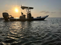 Mowdy Boat Owners